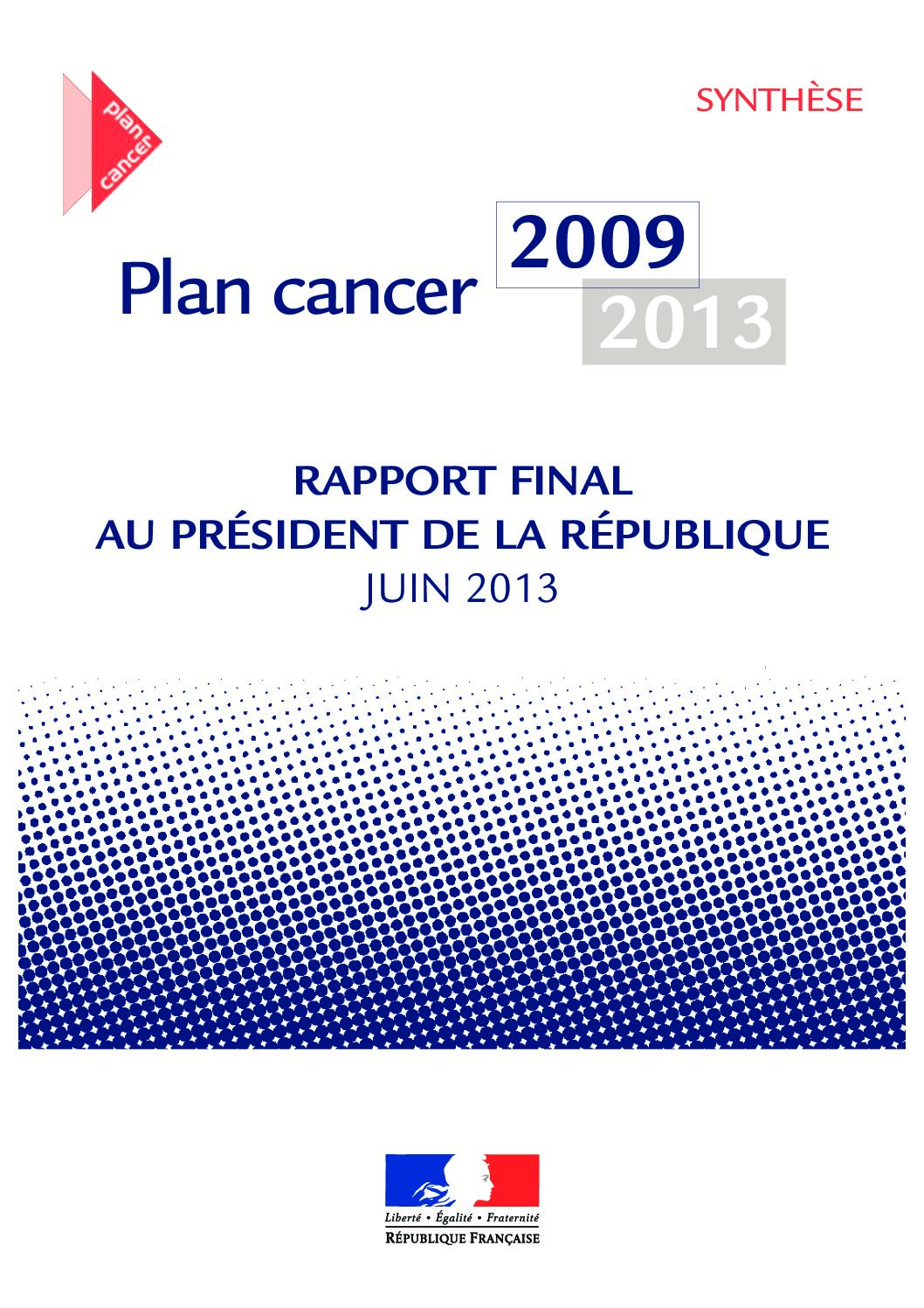 DGS: Rapport final sur le bilan du Plan cancer 2009-2013