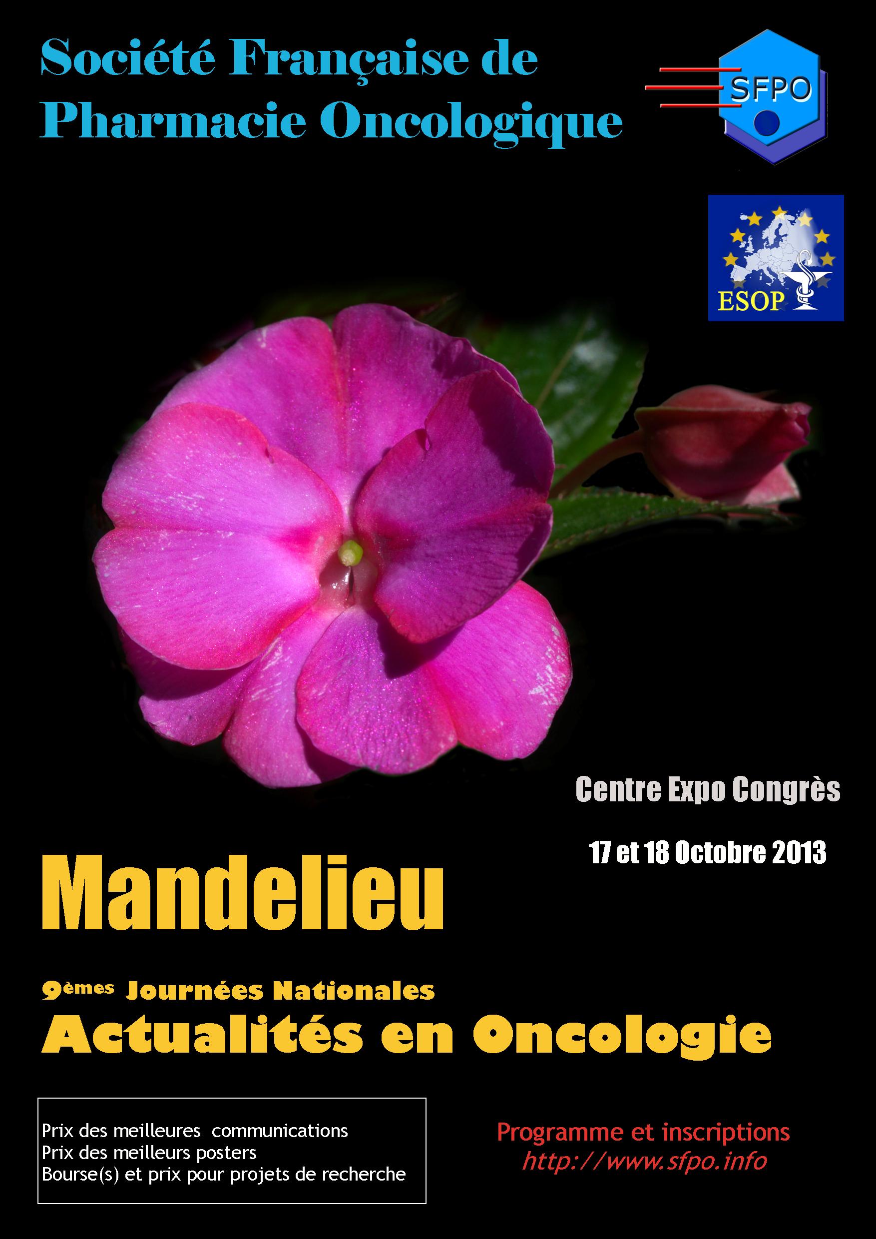 IXèmes Journées Nationales Actualités en Oncologie 2013