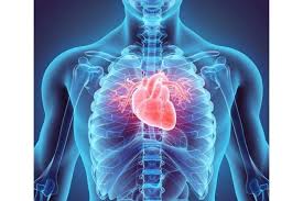 Tamoxifène et inhibiteurs de la recapture de la sérotonine : quel risque cardiaque ?